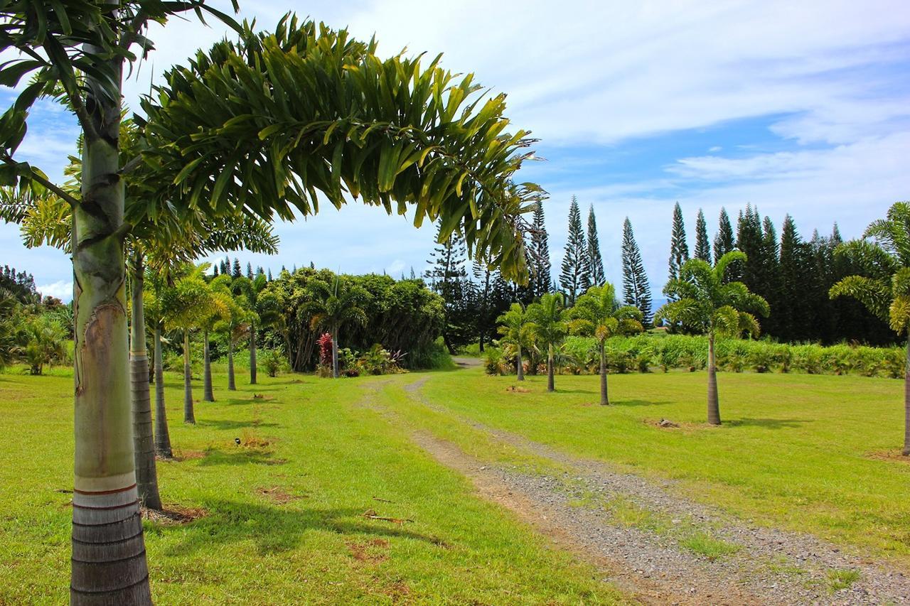 Mahana House Country Inn North Hilo Экстерьер фото