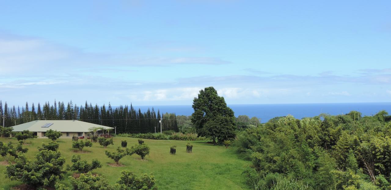 Mahana House Country Inn North Hilo Экстерьер фото