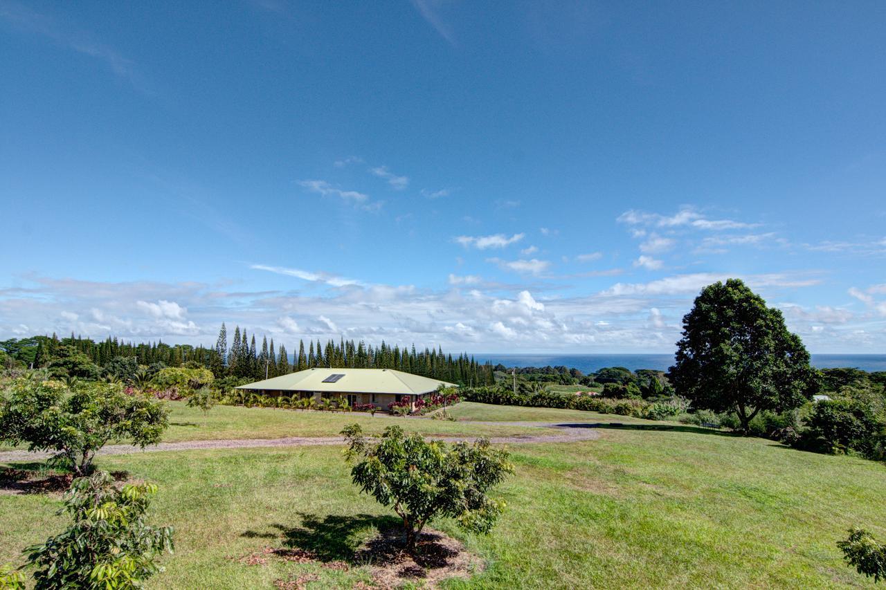 Mahana House Country Inn North Hilo Экстерьер фото